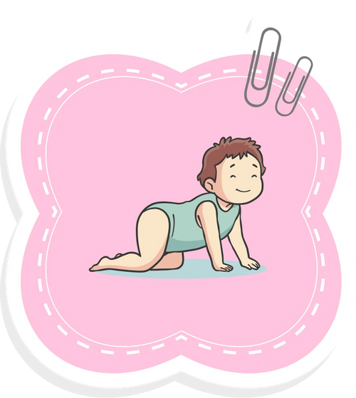 6–9 Months