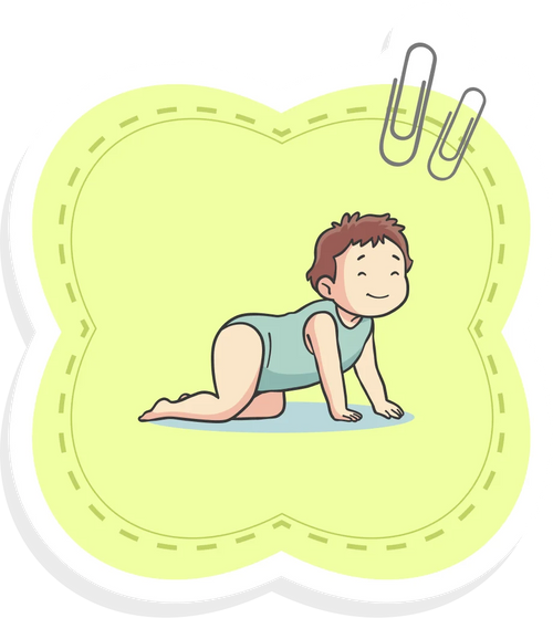 6–9 Months
